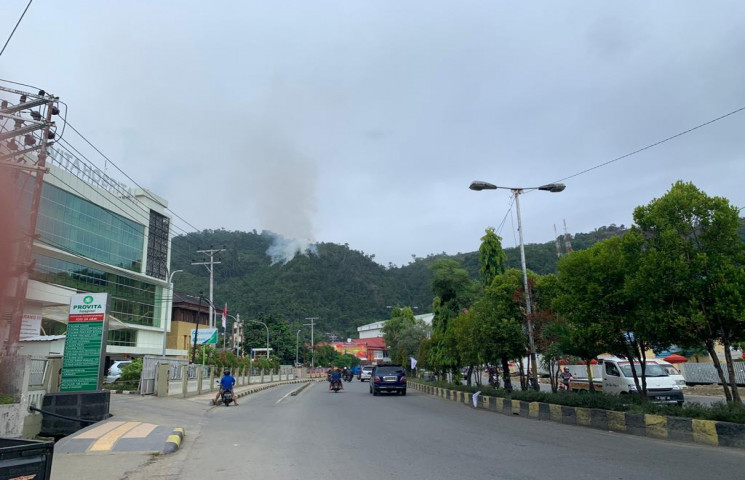 Pembakaran Hutan di Perbukitan Apo Segera Ditertibkan